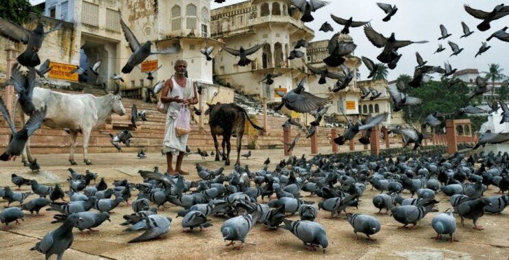 Visit Pushkar From Jaipur With Jodhpur Drop - Activity Details