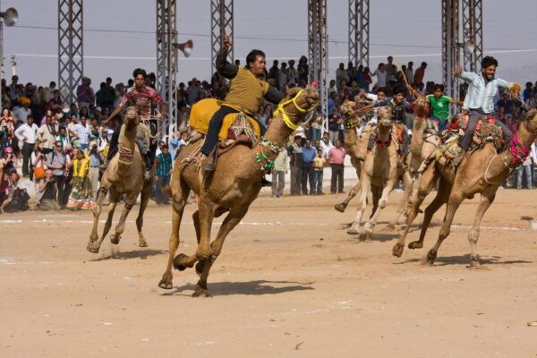 Visit Pushkar From Jaipur With Jodhpur Drop Without Guide - Frequently Asked Questions