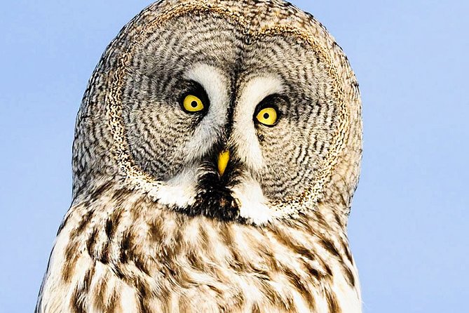 Visit Ranua Arctic Wildlife Park - Overview and Benefits