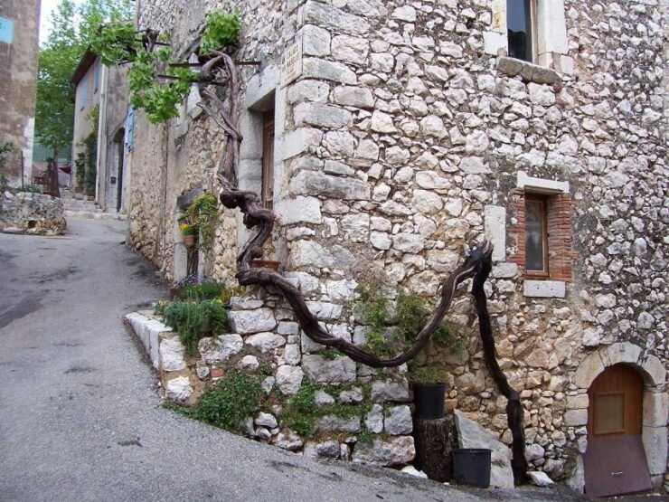Visit Saint Paul De Vence, Antibes & Cannes: 7h Tour - Activity Description