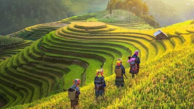 Visit Sapa & Local Villages To See Terraced Fields For 2 Day - Day 2 Activities