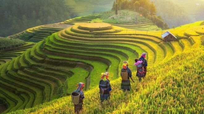 Visit Sapa & Local Villages To See Terraced Fields For 2 Day - Included Experiences