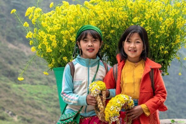 Visit Sapa & Local Villages To See Terraced Fields For 2 Day - Transportation and Accommodation