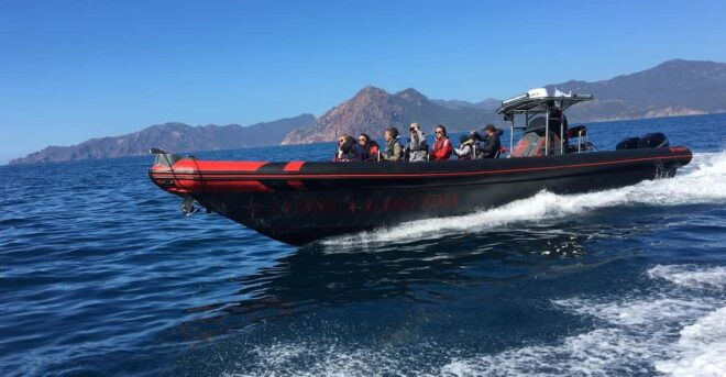 Visit Scandola Calanques Piana 2h Stop Girolata 12 Seat Boat - Booking Information
