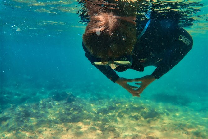 Visit Secret Caves, Hidden Beaches and Snorkel in Alvor, Portugal - Frequently Asked Questions