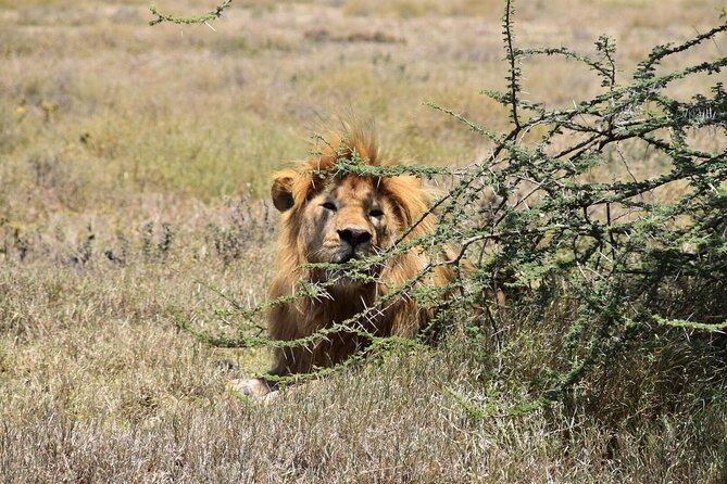 Visit Serengeti | Ngorongoro | Tarangire | Lake Manyara National Park - Good To Know