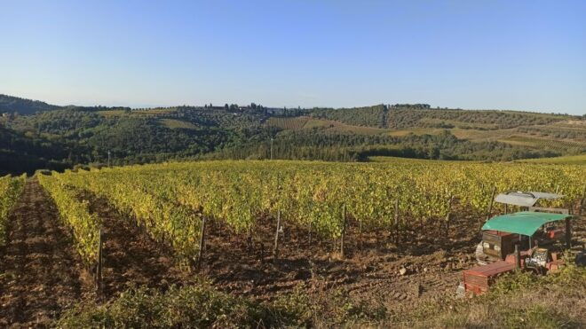 Visit Siena and San Gimignano With Lunch at a Family Farm - Pickup Details
