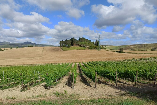 Visit Siena & San Gimignano With Lunch & Wine Tasting Experience - Good To Know