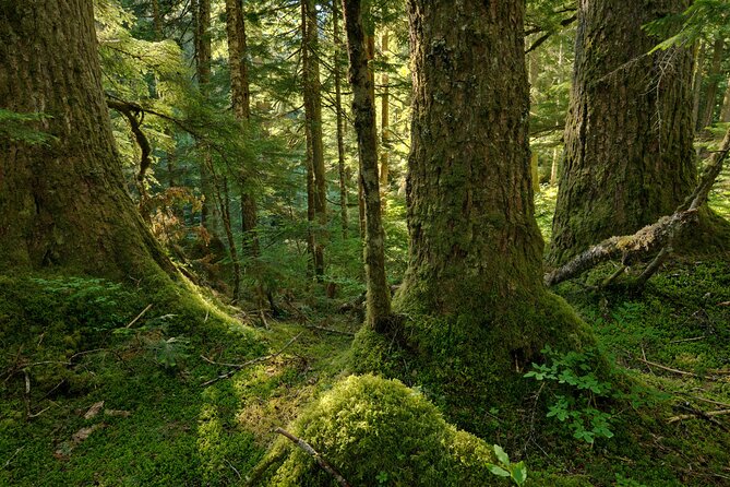 Visit Snoqualmie Falls and Hike to Twin Falls - Product Information