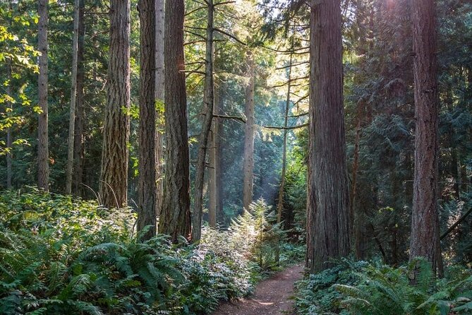 Visit Snoqualmie Falls and Hike to Twin Falls - Common Questions