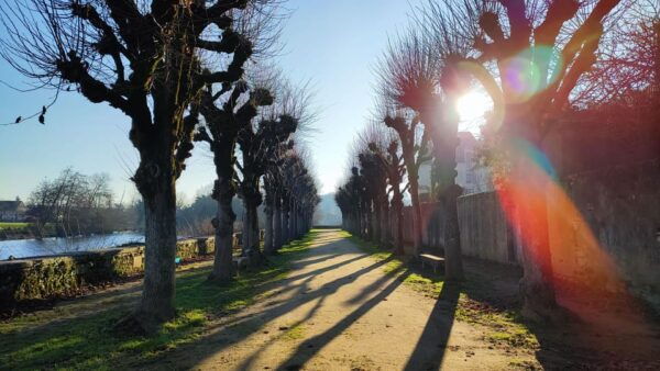 Visit St-Savin and the Gartempe Valley in a 1.5 Hours Tour - Questions You May Have