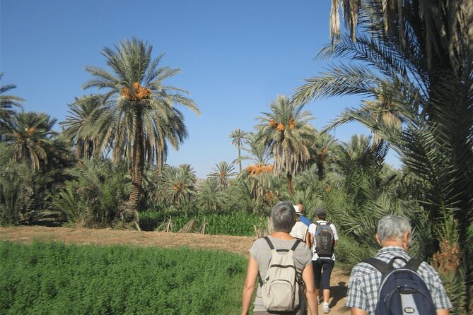 Visit Taroudant and Tiout 1 Day From Agadir - Pricing and Details