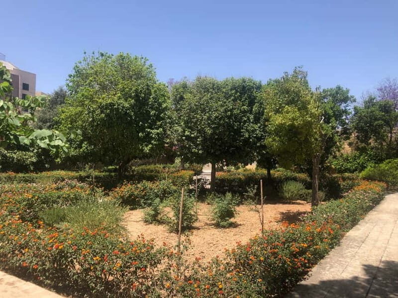 Visit Tarxien Temples, Kalanka Bay, Blue Grotto, Marsaxlokk - Good To Know