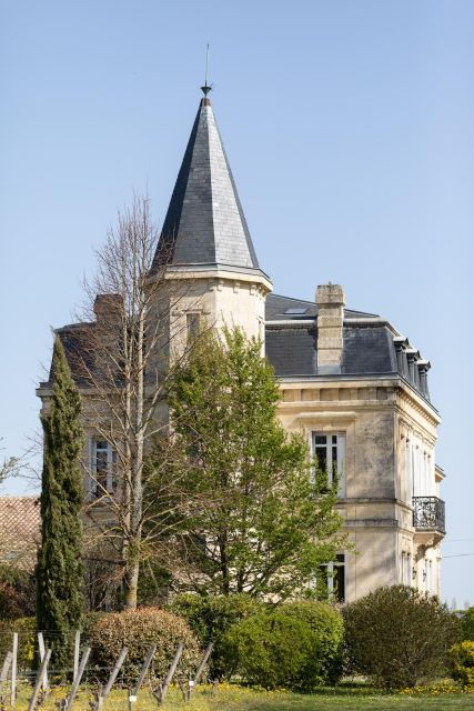 Visit & Tasting at Château Yon-Figeac Grand Cru Classé - Activity Details