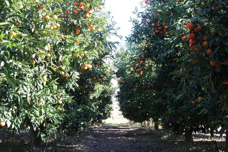 Visit the city of Konispol - What to Expect from the Konispol Tour