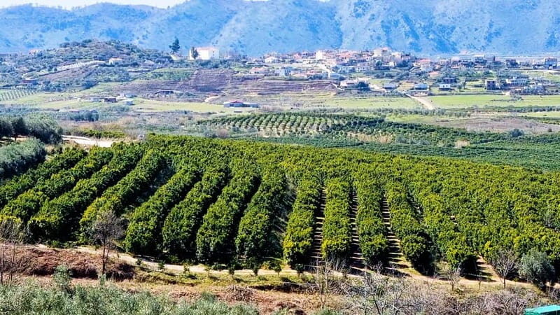 Visit the city of Konispol - What’s Included and What to Keep in Mind