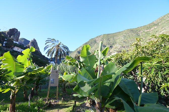 Visit the Ethnographic Park of La Gomera - Common Questions