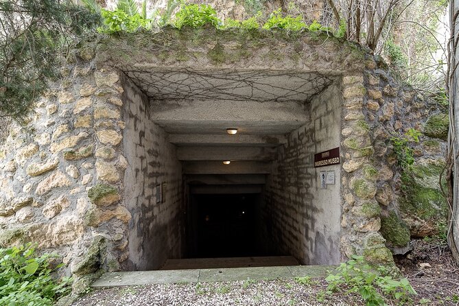 Visit the Etruscan Underground Heritage Site of Tarquinia - Whats Included