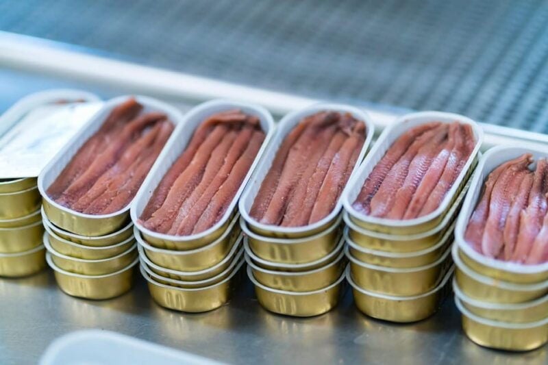 Visit the Factory of the Best Anchovies, Santoña, Personalized in Spanish - Good To Know