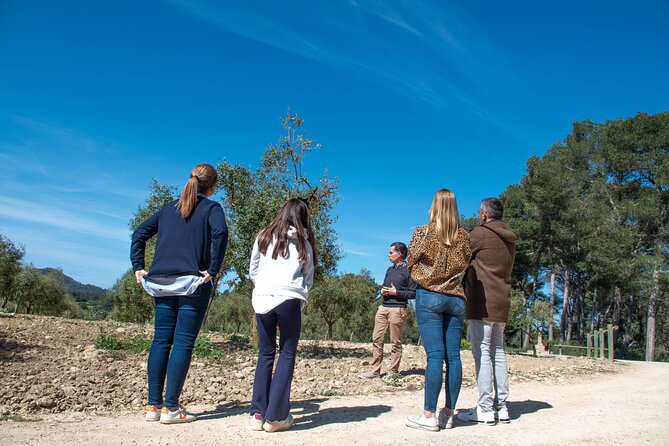 Visit the Finca and Olive Grove, Extra Virgin Olive Oil Tasting and Snack - Tour Details and Accessibility