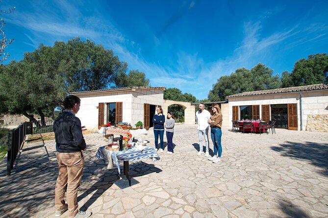 Visit the Finca and Olive Grove, Extra Virgin Olive Oil Tasting and Snack - Reviews