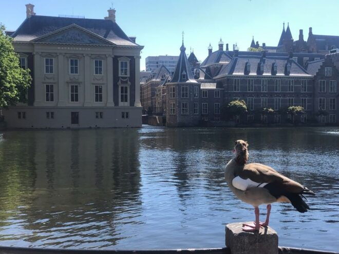Visit the Girl With the Pearl Earring, the Hague & Delft - Customizing Your Tour Experience