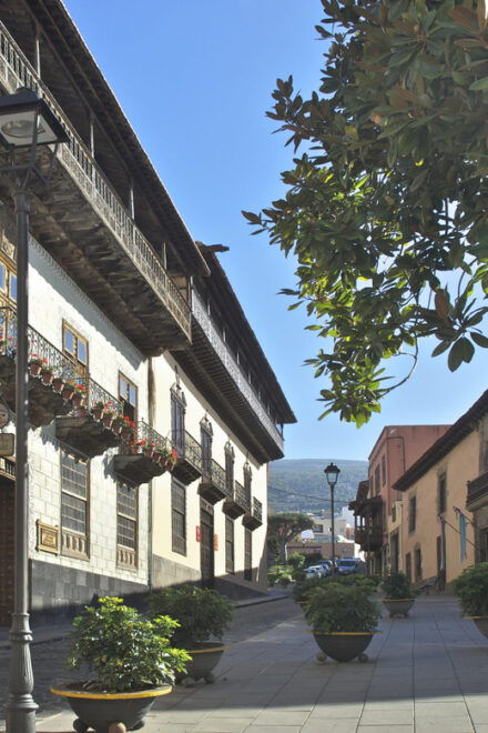 Visit the House of Balconies + Hoyo Gofio Mill - Inclusions