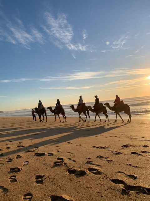 Visit the Magic City of Tangier With Hammam and Dinner - Booking Details