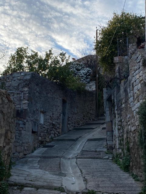 Visit the Medieval Town of Hyères With a Tour Guide - Good To Know