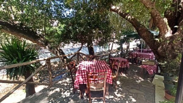 VISIT THE MOST FAMOUS PAINTER EL GRECO TOUR - Important Information