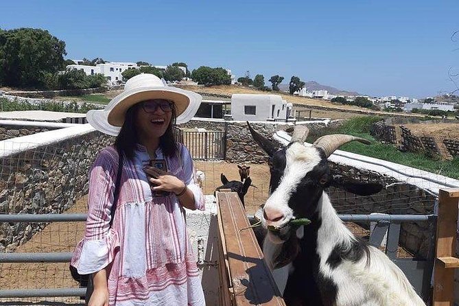 Visit the Mykonian Farm in Mykonos - Inclusions