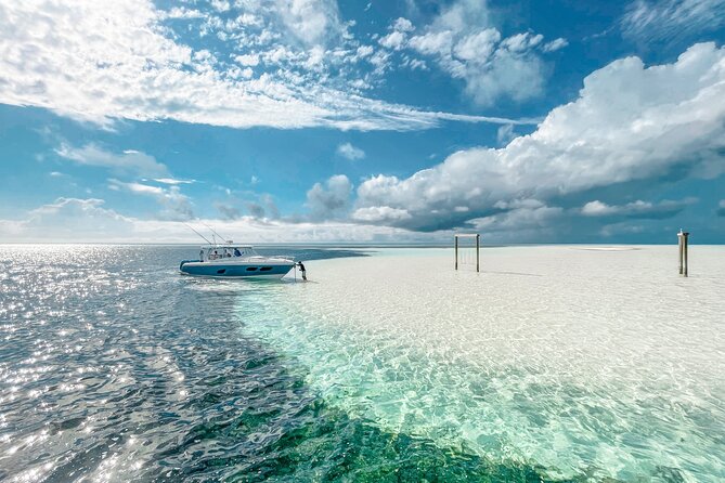 Visit the Ocean Swings! Full Day Harbour Island Private Boat Tour - Inclusions and Exclusions