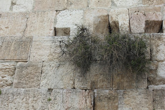 Visit the Old City of Jerusalem : 3000 Years of History, Archeology and Bible - Preservation Efforts and Challenges