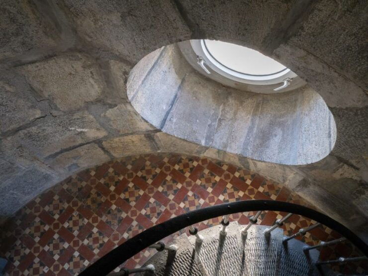 Visit the Palos Faro - Group Size and Languages