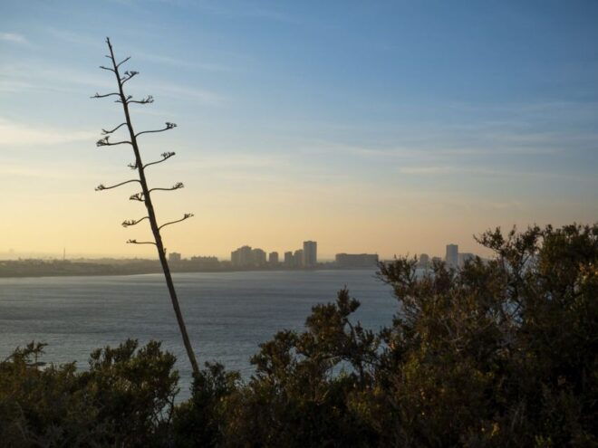 Visit the Palos Faro - Cancellation Policy and Reservation