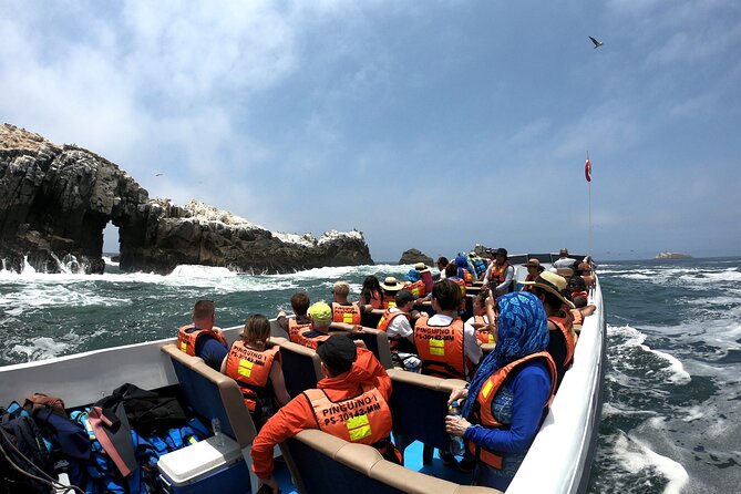 Visit the Sea Lions in Palomino Islands, in Lima Peru - The Sum Up