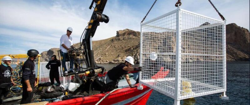 Visit the Underwater Wine Cellar by Boat with Tapas Tasting and Medieval Castle - Good To Know