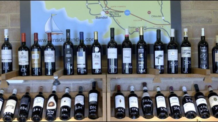 Visit the Vineyards and Discover Bandol Wines - Winery Visit and Wine Tasting
