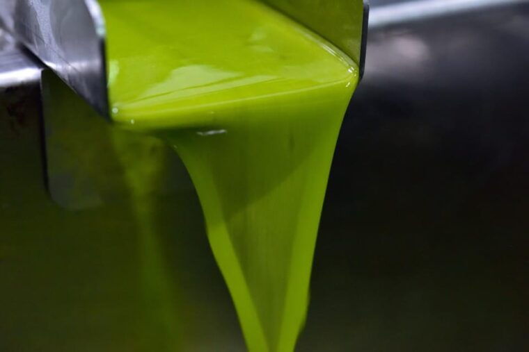 Visit to an Olive Oil Mill and Oil Tasting With Aperitif and Food and Wine Pairing. - Exploring the Olive Oil Mill