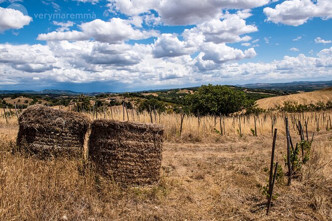 Visit to an Organic Farm and Tasting of Natural Wines - Pricing and Provider