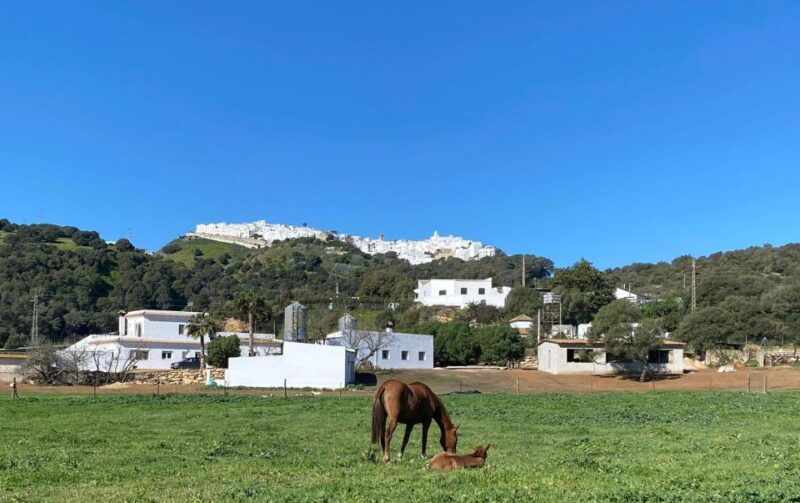Visit to Angostura Stud + Wine - Good To Know