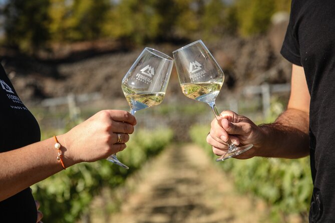Visit to Arafo Mountain Vineyard and Organic Wine Tasting - What To Expect