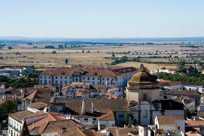 Visit to Évora c/Adega and Cortiza Factory, Private Tour - Frequently Asked Questions (FAQs)