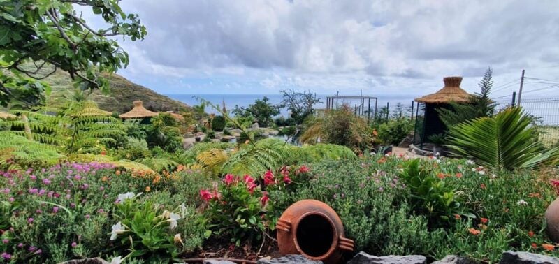 Visit to Madeira Bird Island - Good To Know