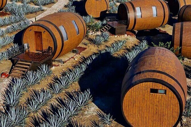 Visit to Matices Hotel de Barricas in Tequila Jalisco - Practical Details & What to Expect