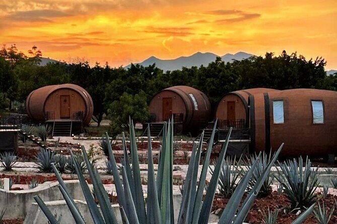 Visit to Matices Hotel de Barricas in Tequila Jalisco - Final Thoughts: Who Will Love This Tour?