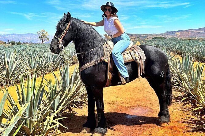 Visit to Matices Hotel de Barricas in Tequila Jalisco - FAQ