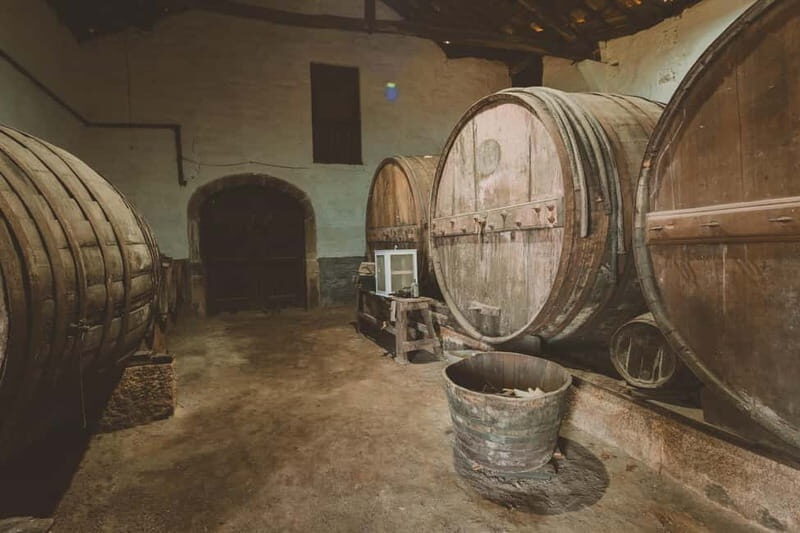 Visit to Quinta de Sobre a Fonte with wine tasting - pet friendly - Final Thoughts: Why It’s a Great Choice