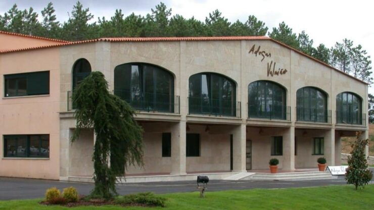 Visit to the Adegas Valmiñor Winery and Tasting - Activity Duration and Guide Availability
