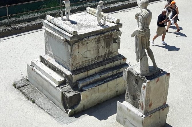Visit to the Archaeological Park of Herculaneum - Assistance and Support